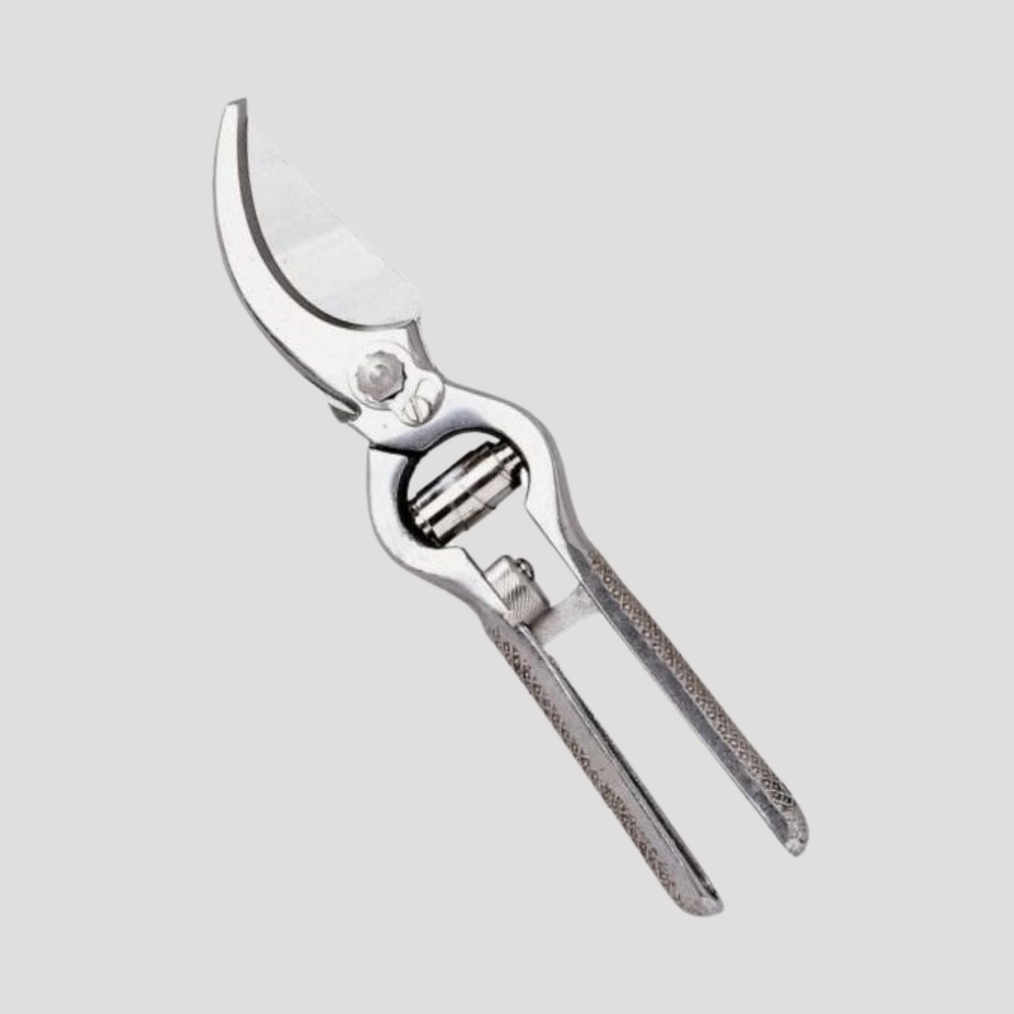 Forbice potatura per vigna canalite cm 21