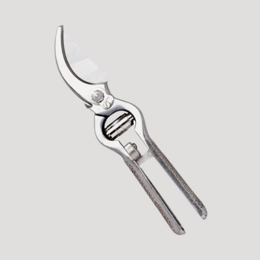 Forbice potatura per vigna canalite cm 21